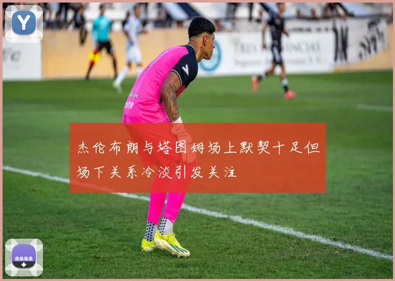 杰伦布朗与塔图姆场上默契十足但场下关系冷淡引发关注