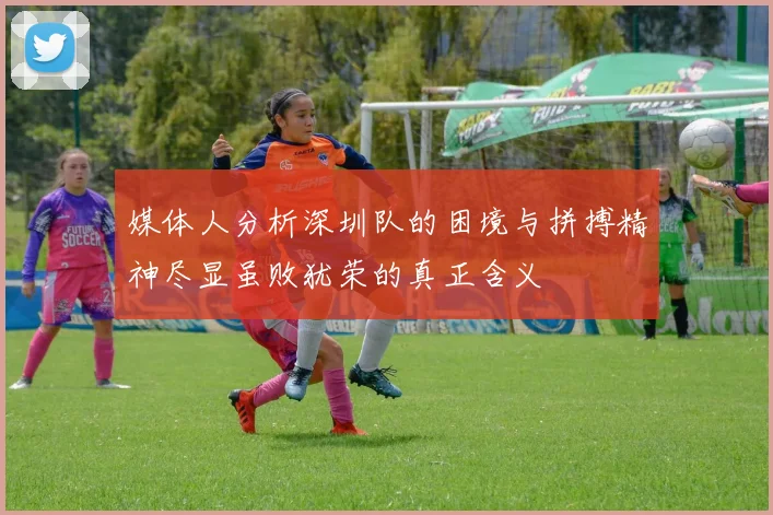 媒体人分析深圳队的困境与拼搏精神尽显虽败犹荣的真正含义